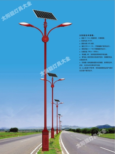 衡水市8 米太阳能路灯中国结太阳能路灯 - 方案